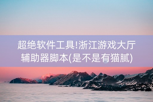 超绝软件工具!浙江游戏大厅辅助器脚本(是不是有猫腻)