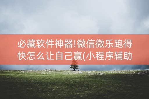 必藏软件神器!微信微乐跑得快怎么让自己赢(小程序辅助软件)