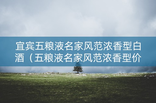 宜宾五粮液名家风范浓香型白酒（五粮液名家风范浓香型价格）