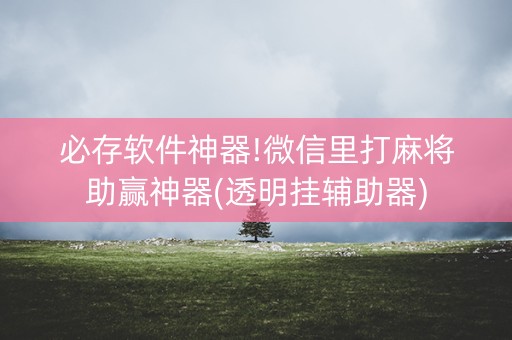 必存软件神器!微信里打麻将助赢神器(透明挂辅助器)