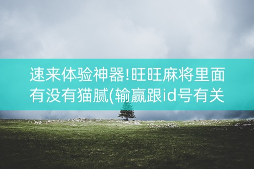 速来体验神器!旺旺麻将里面有没有猫腻(输赢跟id号有关系吗)