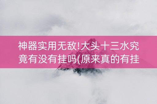 神器实用无敌!大头十三水究竟有没有挂吗(原来真的有挂)