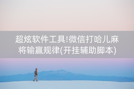 超炫软件工具!微信打哈儿麻将输赢规律(开挂辅助脚本)