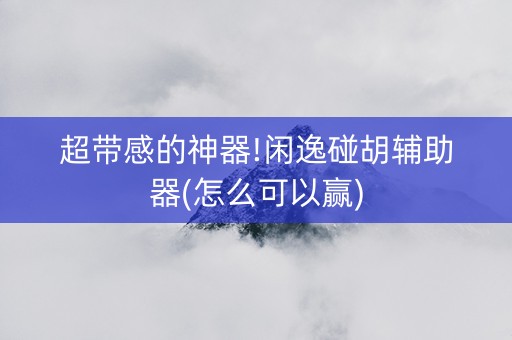 超带感的神器!闲逸碰胡辅助器(怎么可以赢)