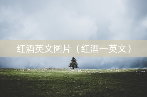 红酒英文图片（红酒一英文）