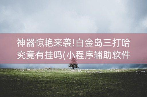 神器惊艳来袭!白金岛三打哈究竟有挂吗(小程序辅助软件)