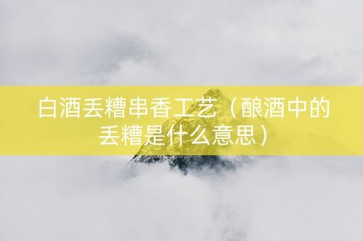 白酒丢糟串香工艺（酿酒中的丢糟是什么意思）