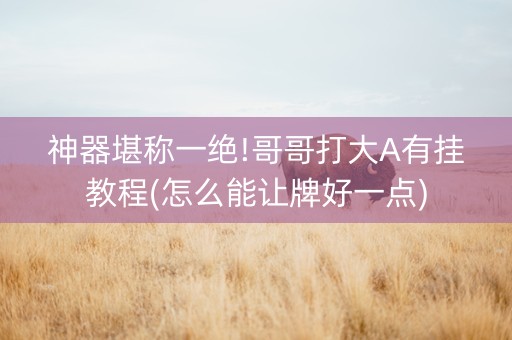 神器堪称一绝!哥哥打大A有挂教程(怎么能让牌好一点)