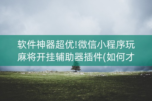 软件神器超优!微信小程序玩麻将开挂辅助器插件(如何才能赢)