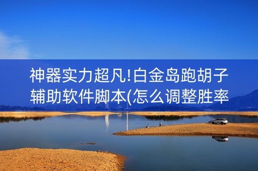 神器实力超凡!白金岛跑胡子辅助软件脚本(怎么调整胜率)