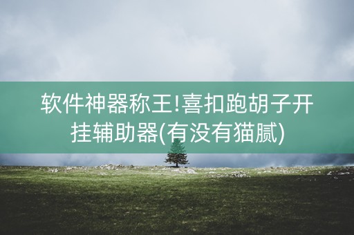 软件神器称王!喜扣跑胡子开挂辅助器(有没有猫腻)