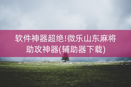 软件神器超绝!微乐山东麻将助攻神器(辅助器下载)