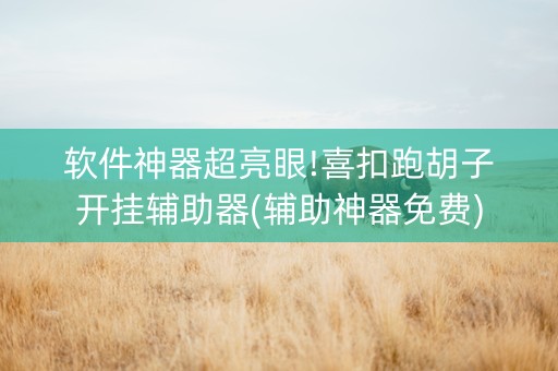 软件神器超亮眼!喜扣跑胡子开挂辅助器(辅助神器免费)