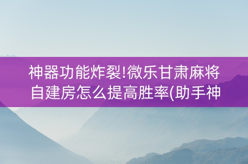 神器功能炸裂!微乐甘肃麻将自建房怎么提高胜率(助手神器外辅工具)
