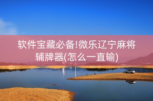 软件宝藏必备!微乐辽宁麻将辅牌器(怎么一直输)