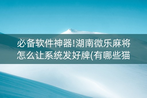 必备软件神器!湖南微乐麻将怎么让系统发好牌(有哪些猫腻)