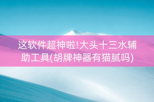 这软件超神啦!大头十三水辅助工具(胡牌神器有猫腻吗)