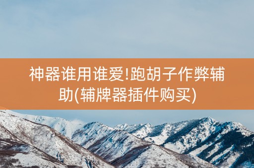 神器谁用谁爱!跑胡子作弊辅助(辅牌器插件购买)