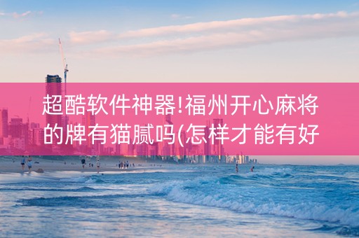 超酷软件神器!福州开心麻将的牌有猫腻吗(怎样才能有好牌)
