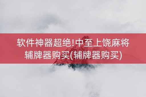 软件神器超绝!中至上饶麻将辅牌器购买(辅牌器购买)