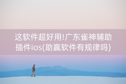 这软件超好用!广东雀神辅助插件ios(助赢软件有规律吗)