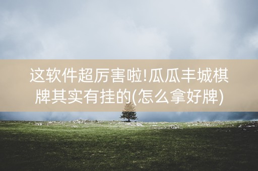 这软件超厉害啦!瓜瓜丰城棋牌其实有挂的(怎么拿好牌)