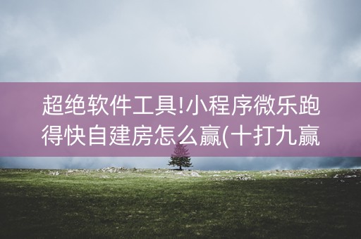 超绝软件工具!小程序微乐跑得快自建房怎么赢(十打九赢的打法)