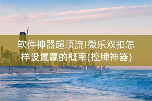 软件神器超顶流!微乐双扣怎样设置赢的概率(控牌神器)