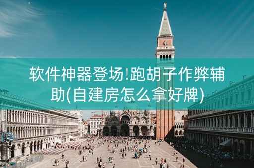 软件神器登场!跑胡子作弊辅助(自建房怎么拿好牌)