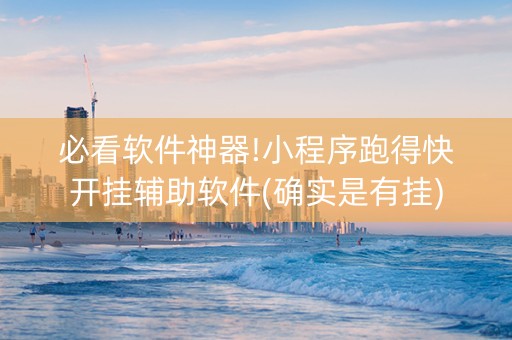 必看软件神器!小程序跑得快开挂辅助软件(确实是有挂)