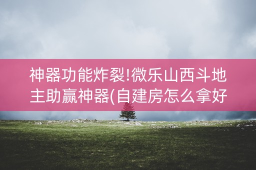 神器功能炸裂!微乐山西斗地主助赢神器(自建房怎么拿好牌)