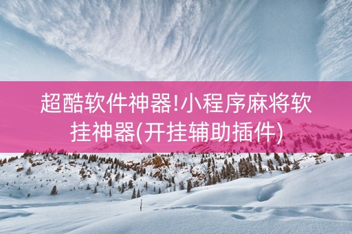 超酷软件神器!小程序麻将软挂神器(开挂辅助插件)