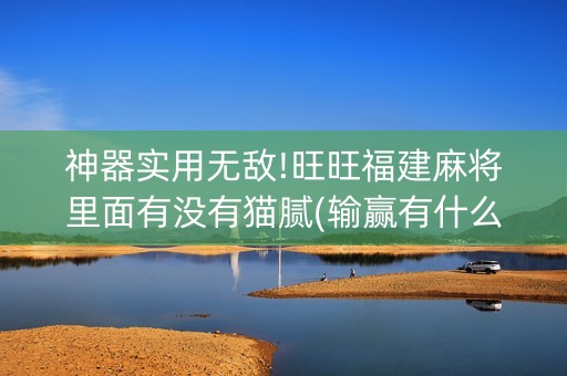 神器实用无敌!旺旺福建麻将里面有没有猫腻(输赢有什么规律)