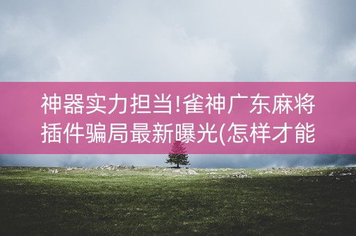 神器实力担当!雀神广东麻将插件骗局最新曝光(怎样才能有好牌)
