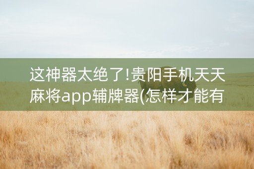 这神器太绝了!贵阳手机天天麻将app辅牌器(怎样才能有好牌)