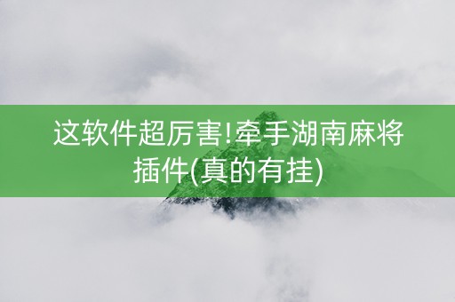 这软件超厉害!牵手湖南麻将插件(真的有挂)