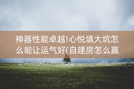 神器性能卓越!心悦填大坑怎么能让运气好(自建房怎么赢)