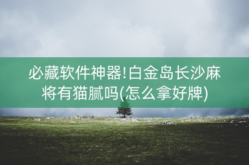 必藏软件神器!白金岛长沙麻将有猫腻吗(怎么拿好牌)