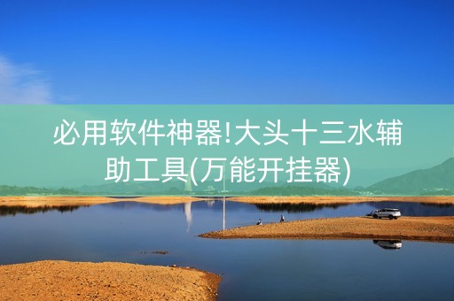 必用软件神器!大头十三水辅助工具(万能开挂器)