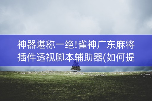 神器堪称一绝!雀神广东麻将插件透视脚本辅助器(如何提高胜率)