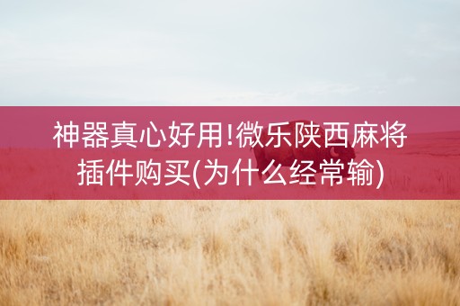 神器真心好用!微乐陕西麻将插件购买(为什么经常输)