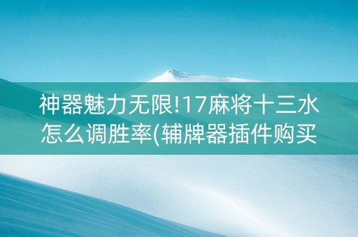 神器魅力无限!17麻将十三水怎么调胜率(辅牌器插件购买)