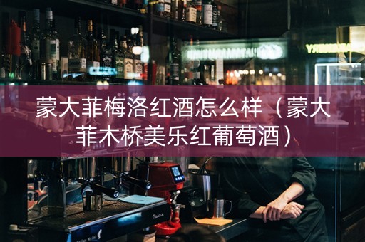 蒙大菲梅洛红酒怎么样（蒙大菲木桥美乐红葡萄酒）
