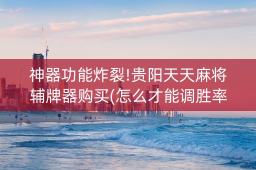 神器功能炸裂!贵阳天天麻将辅牌器购买(怎么才能调胜率)