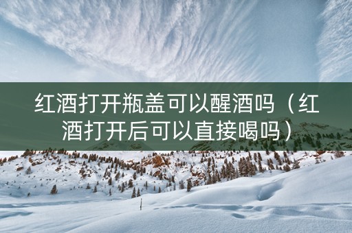红酒打开瓶盖可以醒酒吗（红酒打开后可以直接喝吗）