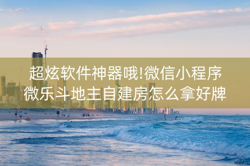 超炫软件神器哦!微信小程序微乐斗地主自建房怎么拿好牌(有什么赢的技巧)
