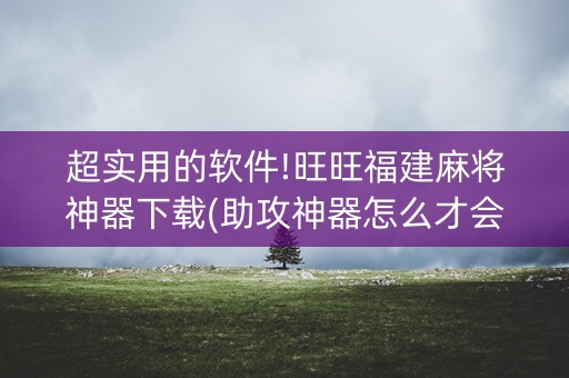 超实用的软件!旺旺福建麻将神器下载(助攻神器怎么才会赢)