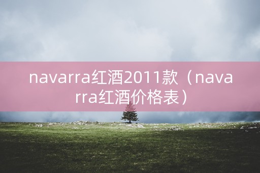 navarra红酒2011款（navarra红酒价格表）