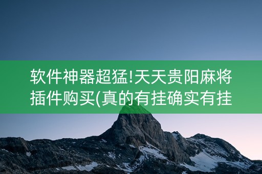 软件神器超猛!天天贵阳麻将插件购买(真的有挂确实有挂)