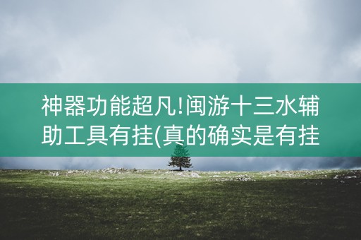 神器功能超凡!闽游十三水辅助工具有挂(真的确实是有挂)